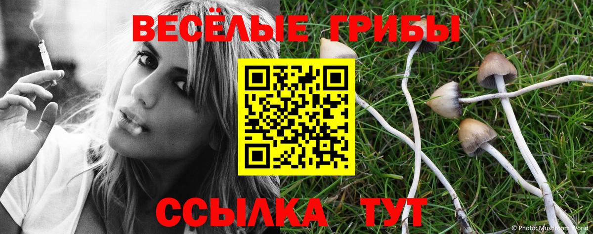 Псилоцибиновые грибы Magic Shrooms Ессентуки