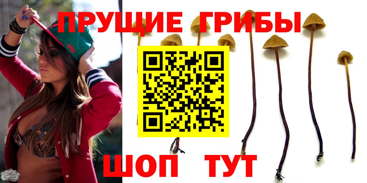 Псилоцибиновые грибы прущие грибы  Псилоцибиновые грибы прущие грибы  Ессентуки  Вход с VPN 